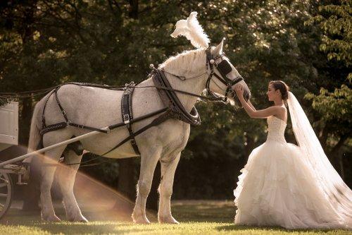 mobile - carousel-hero-element image-6